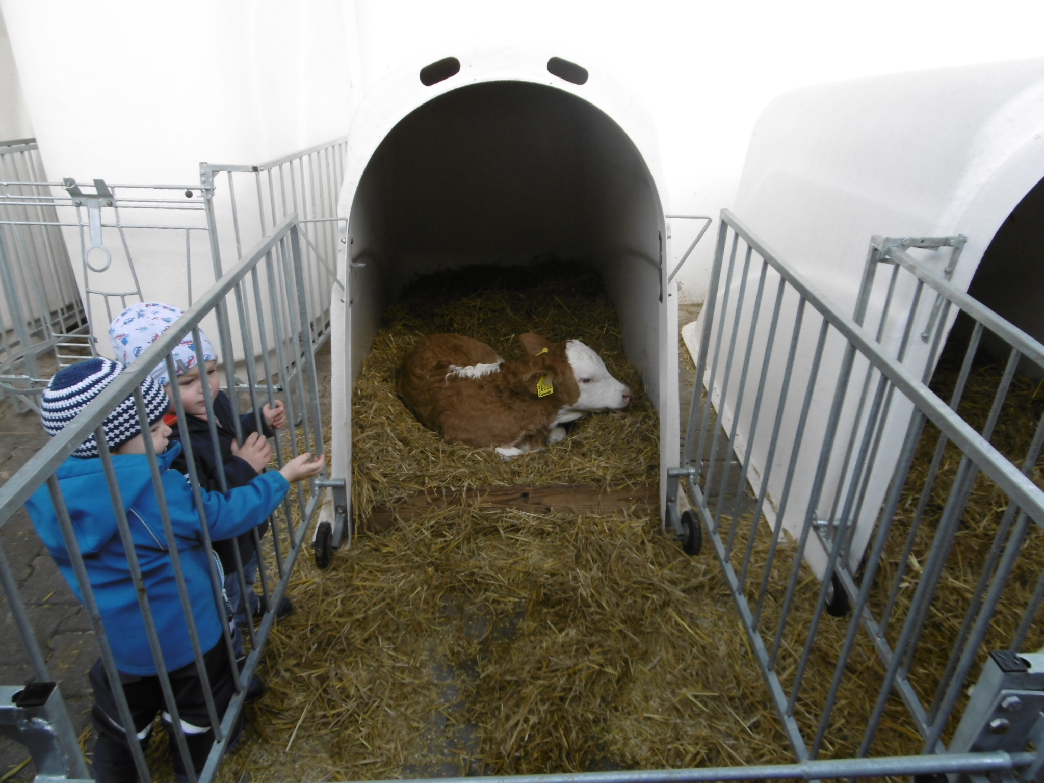 Bauernhofbesuch 2017