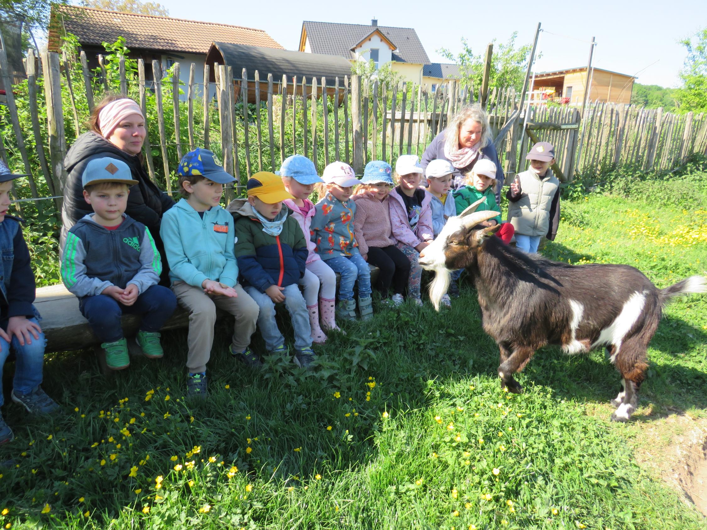 Bauernhofbesuch MZ