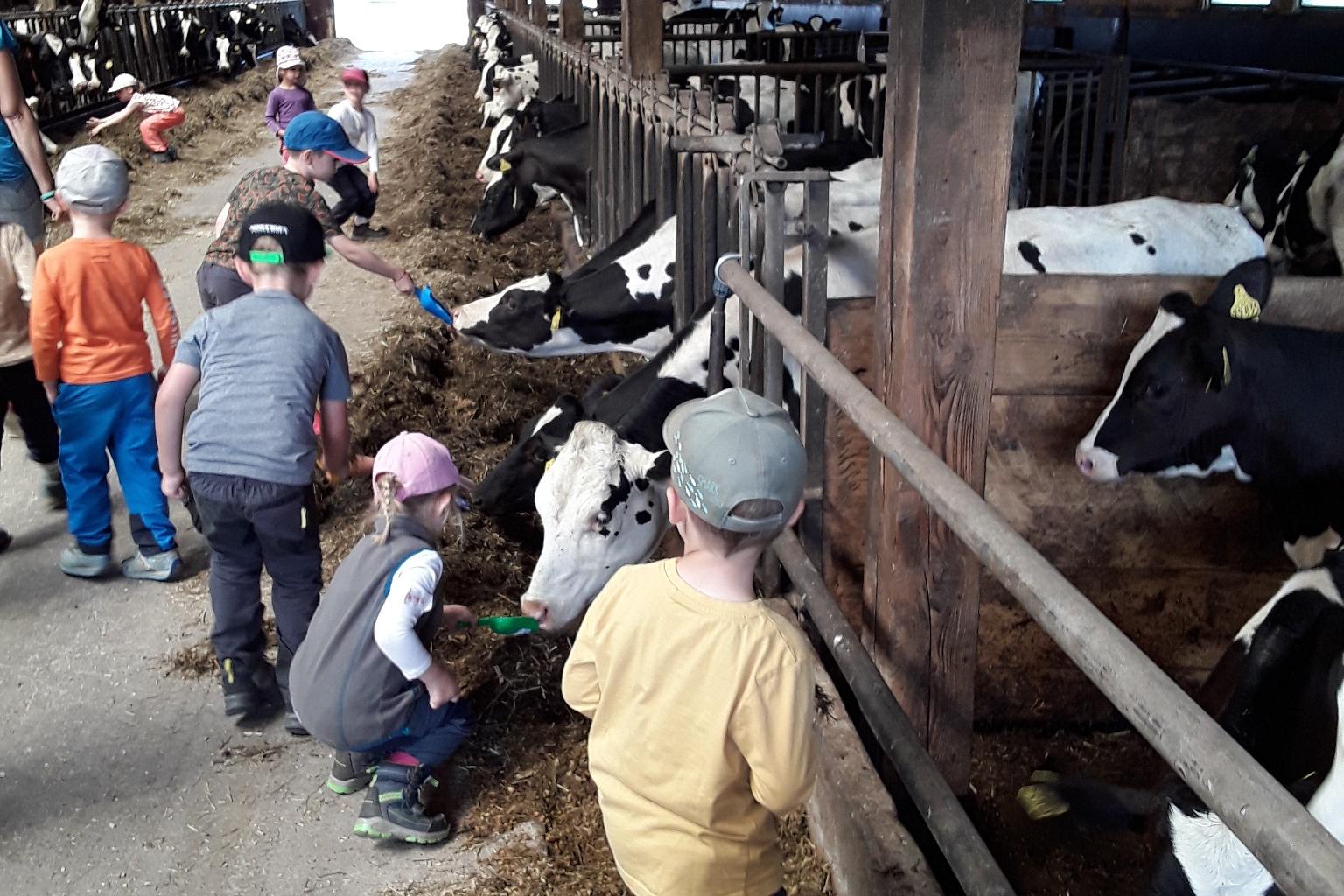 Erlebsnisbauernhof Losbergsgreuth