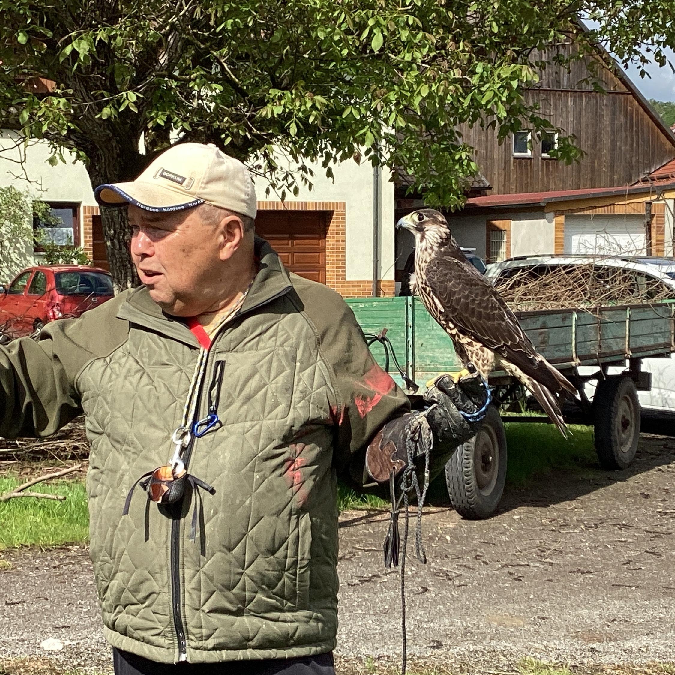 Besuch beim Falkner