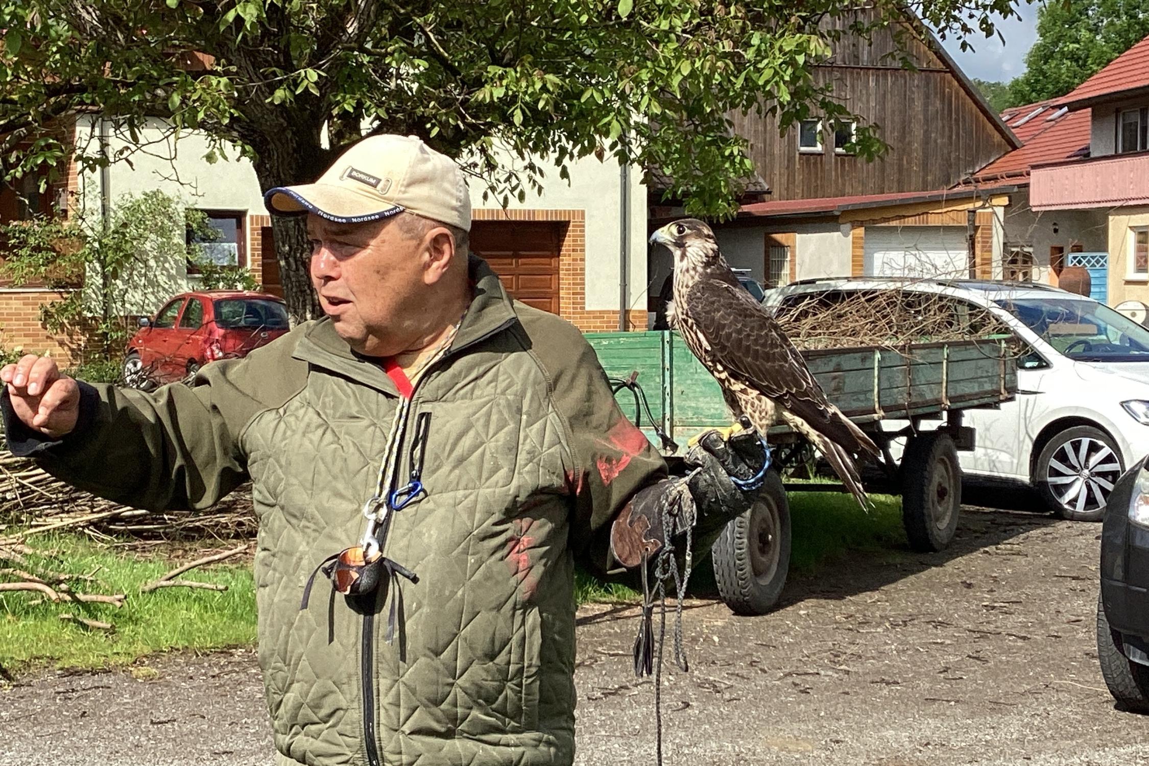 Besuch beim Falkner