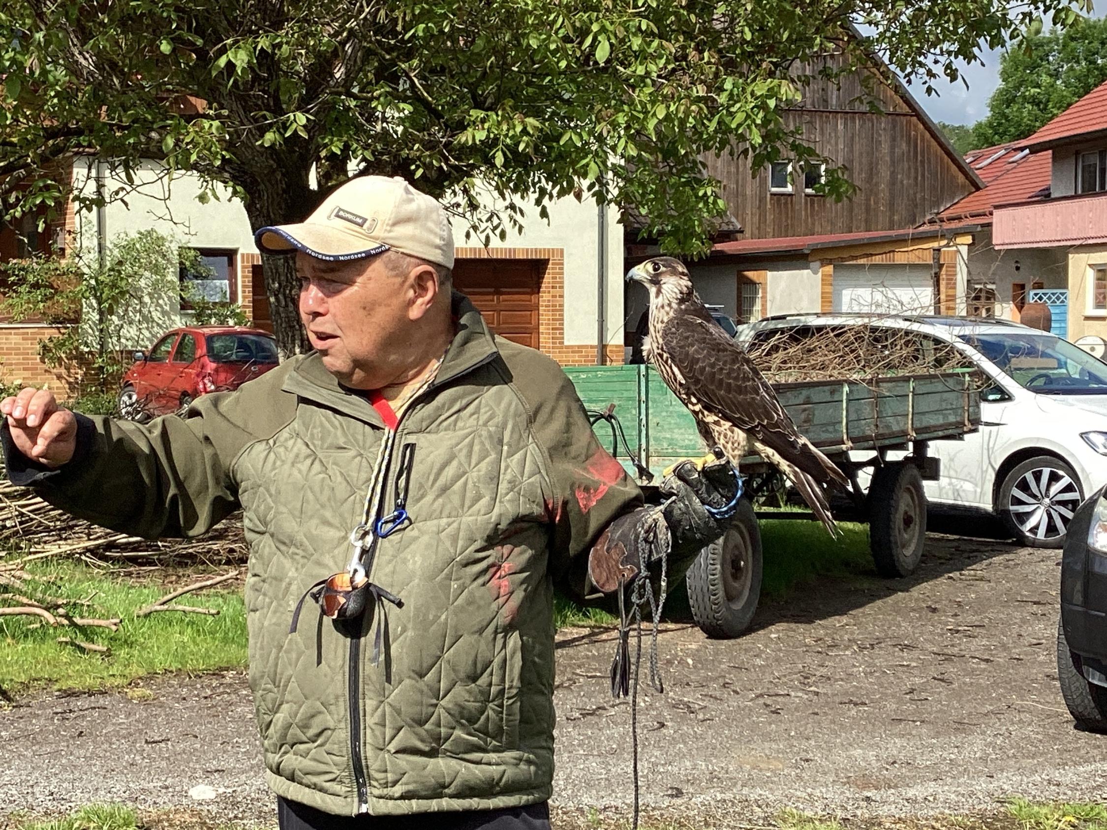 Besuch beim Falkner