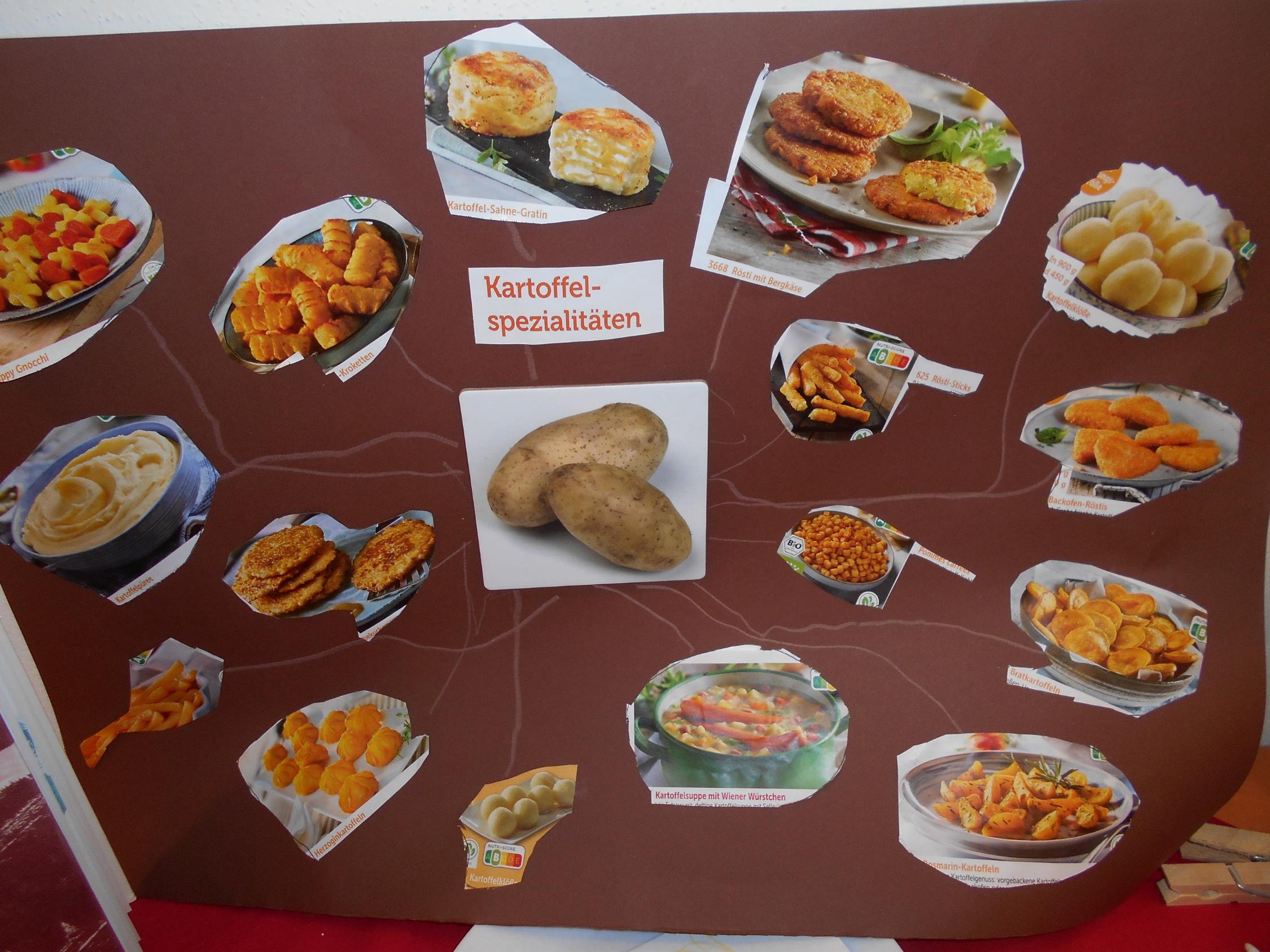 Kartoffelprojekt der Mainzwerge