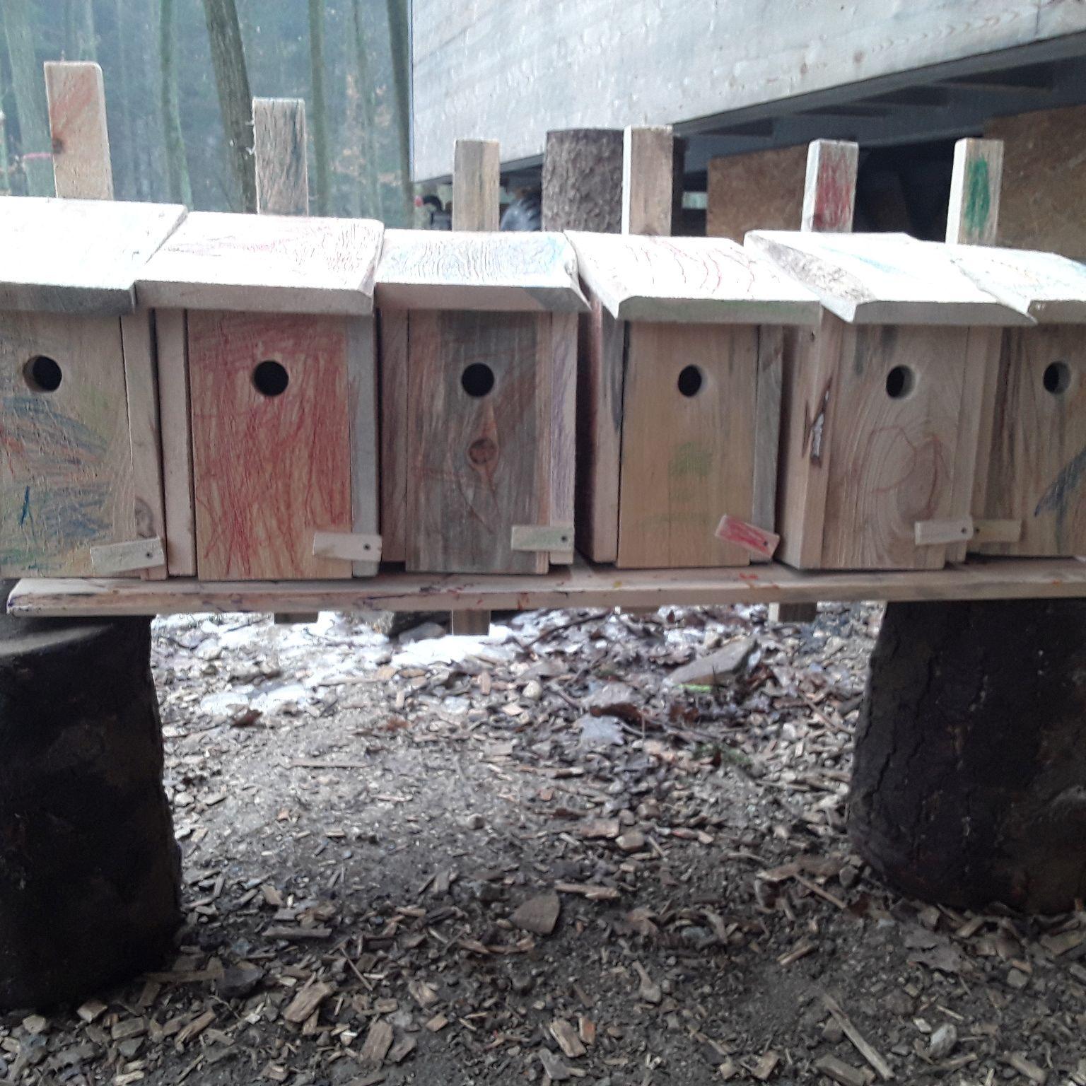 Nistkästen bauen