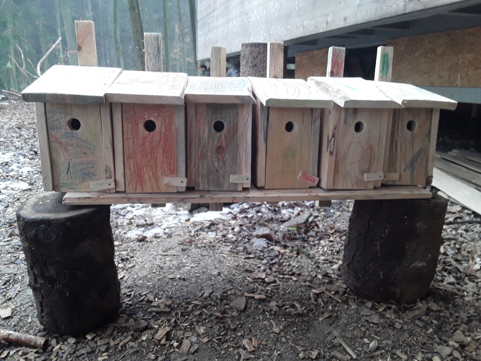 Nistkästen bauen