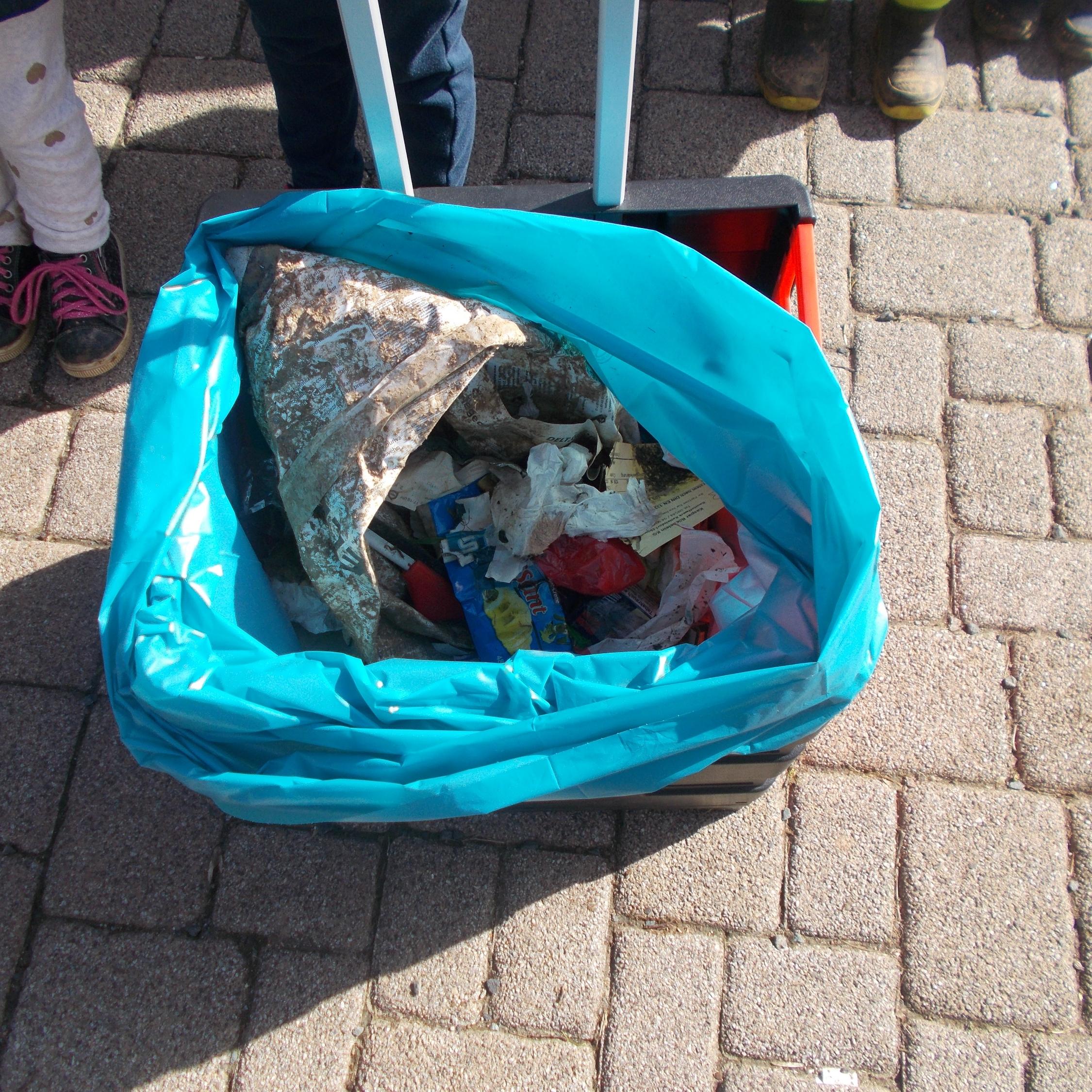 Ramadama 2019