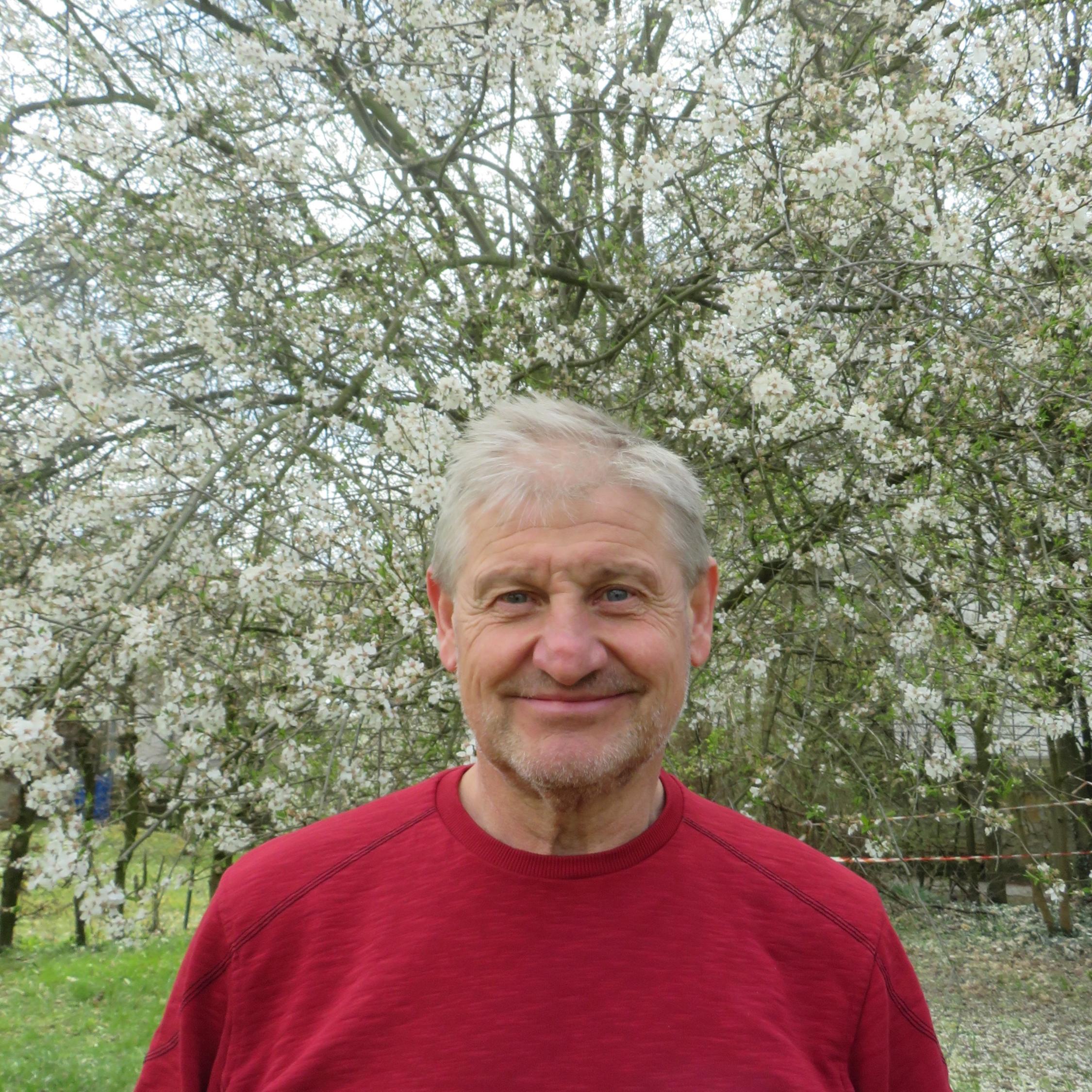 Stefan Hauptmann