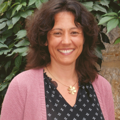 Ulli Zenk